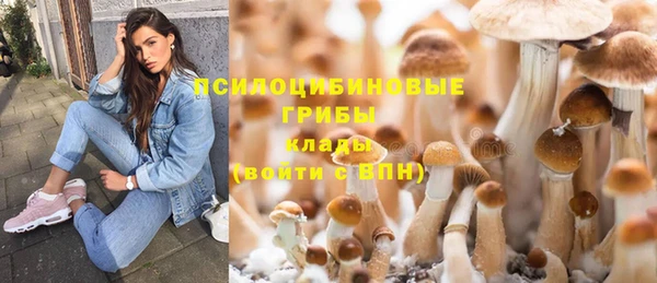меф Армянск