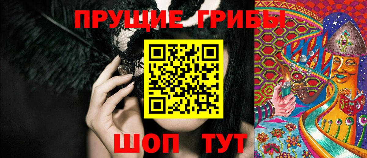 где можно купить   Вятские Поляны  Псилоцибиновые грибы MAGIC MUSHROOMS 