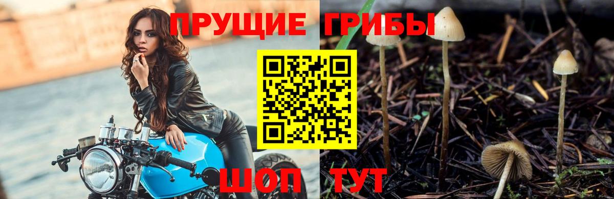 купить наркотик  Вход с VPN  Вятские Поляны  Галлюциногенные грибы мухоморы 