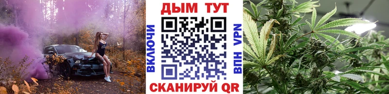 Шишки марихуана план  Вятские Поляны 